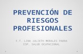 Prevención de riesgos profesionales 5