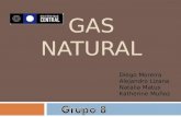 Gas Natural(1)