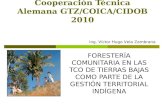 Cambio climatico y foresteria comunitaria vhvz 2010