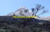 Sierra ecuatoriana por Raúl Robalino