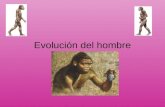 Evolucion Neandertal