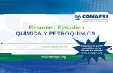 Negocios en Química y Petroquímica - Resumen Ejecutivo 2008