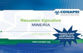 Negocios en Minería - Resumen Ejecutivo 2008