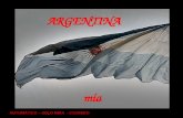 Argentina 3