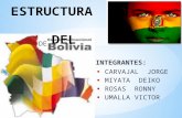 ESTRUCTURA DEL ESTADO PLURINACIONAL DE BOLIVIA