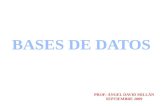 Bases De Datos 2009