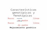 Características genotípicas y fenotípicas