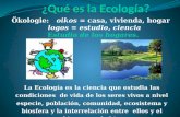 Qué Es La EcologíA
