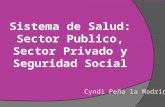 Sistemas De Salud: Sector público, sector privado y seguridad social