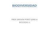 Biodiversidad  (reinos)