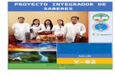 PROYECTO INTEGRADOR DE SABERES GRUPO #4