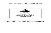SONDEO DE OPINION IMAGENES 2009
