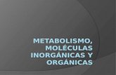 Metabolismo, moléculas inorgánicas y orgánicas