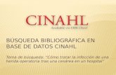 Bsqueda bibliogrfica en base de datos CINAHL