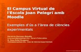 Rosa Bobé Bruguera - "Nuestra experiencia de Campus Virtual con Moodle"