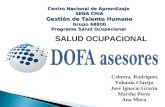 Salud ocupacional dofa_asesores[1][1]