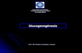 Clase 14 Glucogenolisis Y Glucogenogenesis