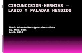 Circuncisión hernias –labio y paladar hendido- 04-13
