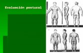Evaluacion postural