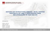 Estudia de la Estructura Urbana en el Centro Historico de Lima y Propuestas para sus Calles