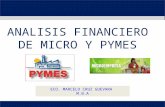 Analisis Financiero para PYMES