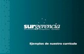 Clipping surgerencia 2010