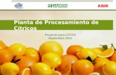 Proyecto citrus