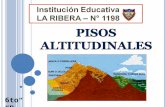 Pisos altitudinales. Primaria. IE La Ribera. Aula de Innovaciones pedagogicas