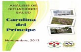 Análisis de situación de salud municipio de carolina del príncipe, 2012 (1)