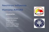 INFLUENZA H1N1, desde la ciencia, el mito y la realidad