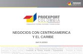 Oportunidades comerciales en centroamérica sur- Agroindustria