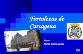 Fortalezas de Cartagena Nacho informatica