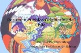 Resumen pueblos originarios de Chile (2º básico)