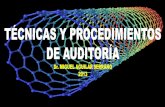 Pp normal curso técnicas y procedimientos de auditoría 19.may.2013