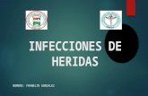Microbiologia infecciones