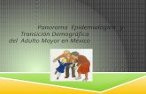 Pp panorama epidemiologico y transicion del adulto mayor mexico 2013