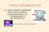 Virus Informaticos2