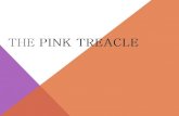 Client Presentation ---> Pink Treacle Company Profile