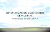 Sistematizacion Diagnóstico de Victimas