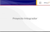 Proyecto integrado rx