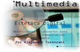 Alejandro Terenzani Estética Digital, Definiciones y conceptos para aplicar en la comunicación multimedia