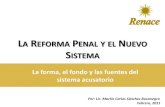 La reforma penal y el nuevo sistema