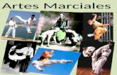 Copia de ponencia expo artes marciales