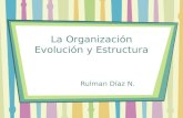 Evolucion organizacional