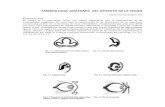 Manual de oftalmologia (Cirugia 2 - UPAO)