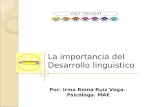 La importancia del desarrollo linguistico garcía mayo 2012