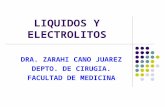 Liquidos Y Electrolitos I