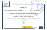 Secartys - Curso gestión de proyectos i+d+i y líneas de financiación - 2009 certificado