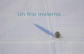 Frio Invierno  (J P L)