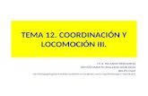 Tema 12.coordinación y locomoción iii